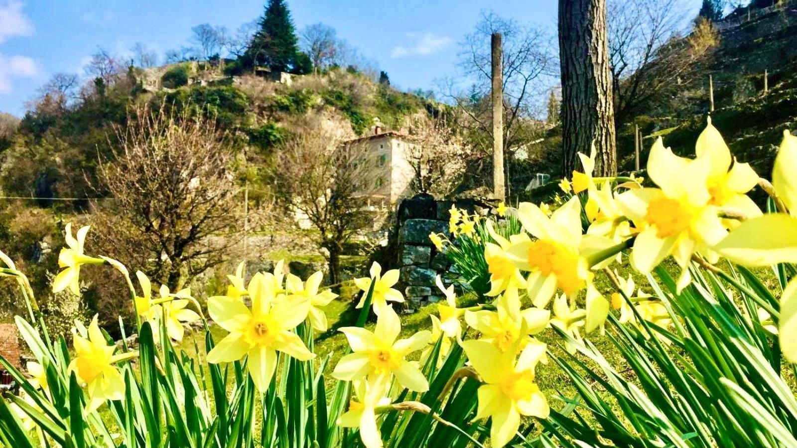 Villa La Casa Sulla Collina Del Castello Breno Esterno foto