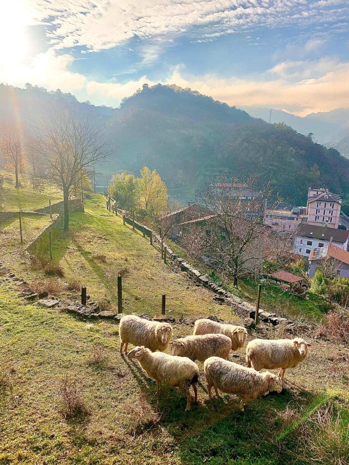 Villa La Casa Sulla Collina Del Castello Breno Esterno foto